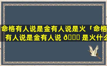 命格有人说是金有人说是火「命格有人说是金有人说 🐘 是火什么意思」